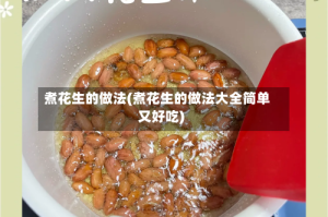 煮花生的做法(煮花生的做法大全简单又好吃)
