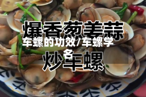 车螺的功效/车螺学名