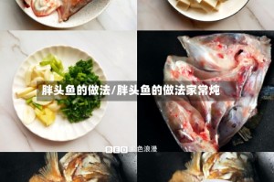 胖头鱼的做法/胖头鱼的做法家常炖