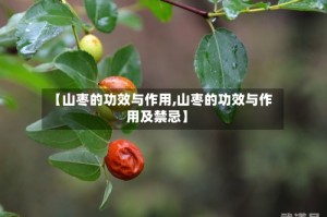 【山枣的功效与作用,山枣的功效与作用及禁忌】