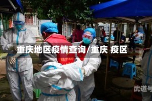 重庆地区疫情查询/重庆 疫区