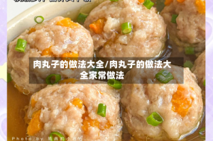 肉丸子的做法大全/肉丸子的做法大全家常做法