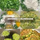【蔬菜饼的做法大全图,蔬菜饼如何做】