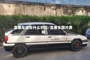 富康车现在什么价位/富康车图片费用