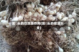 苦藠头的功效及作用(苦蕌头的做法大全)