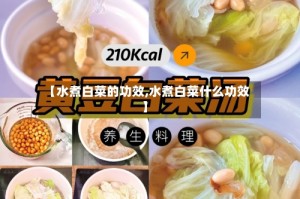 【水煮白菜的功效,水煮白菜什么功效】