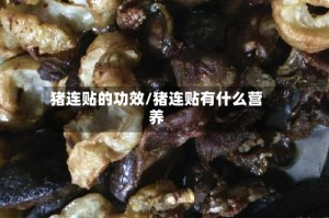 猪连贴的功效/猪连贴有什么营养