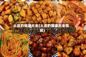 土豆的做法大全(土豆的做法大全视频)