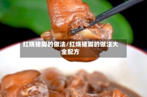 红烧猪脚的做法/红烧猪脚的做法大全配方