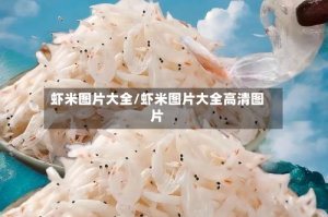 虾米图片大全/虾米图片大全高清图片