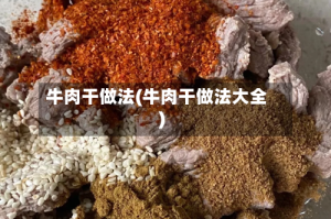 牛肉干做法(牛肉干做法大全)