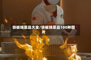 铁板烧菜品大全/铁板烧菜品100种图片