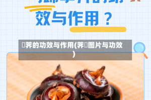 茡荠的功效与作用(荠苨图片与功效)