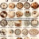 包子的图片大全(包子素馅种类大全)