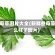 新鲜益母草图片大全(新鲜益母草长什么样子图片)