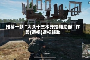 推荐一款“大头十三水开挂辅助器”作弊(透视)透视辅助