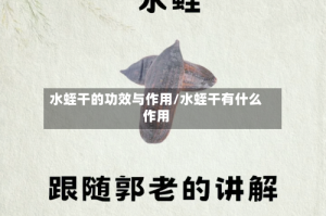 水蛭干的功效与作用/水蛭干有什么作用