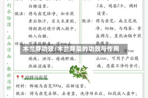 木兰芽功效/木兰芽菜的功效与作用