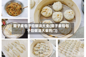茄子素包子馅做法大全(茄子素馅包子馅做法大全窍门)