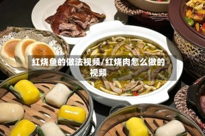 红烧鱼的做法视频/红烧肉怎么做的视频