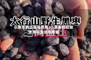 小黑枣的功效与作用/小黑枣的功效作用与主治与用量