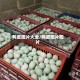 鸭蛋图片大全/鸭蛋图片图片