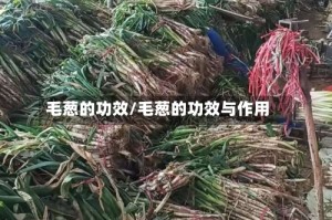 毛葱的功效/毛葱的功效与作用