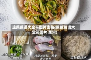凉菜菜谱大全带图片素菜(凉菜菜谱大全带图片 家常)