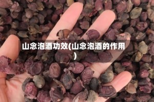 山念泡酒功效(山念泡酒的作用)