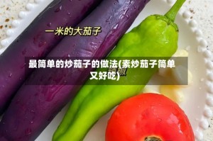 最简单的炒茄子的做法(素炒茄子简单又好吃)