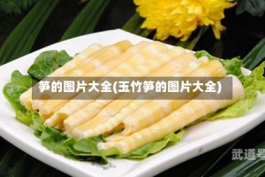 笋的图片大全(玉竹笋的图片大全)