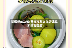 紫橄榄的功效(紫橄榄怎么做好吃又不损害营养)