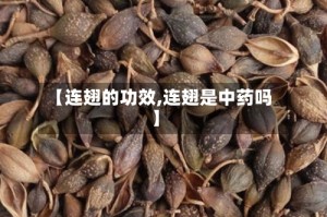 【连翅的功效,连翅是中药吗】