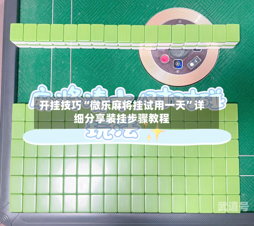 开挂技巧“微乐麻将挂试用一天	”详细分享装挂步骤教程-第3张图片