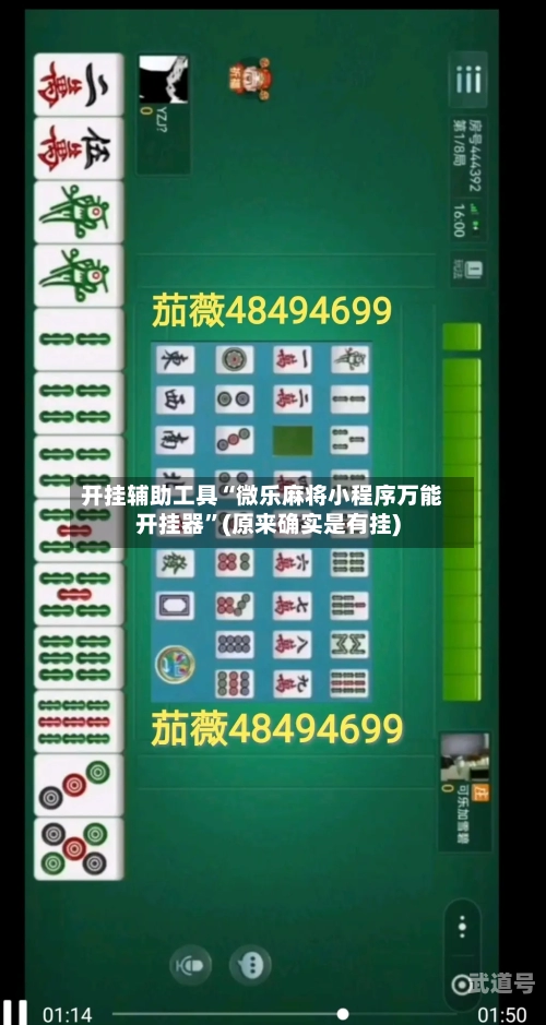 开挂辅助工具“微乐麻将小程序万能开挂器	”(原来确实是有挂)-第2张图片