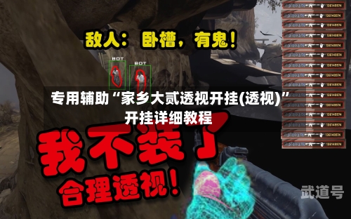 专用辅助“家乡大贰透视开挂(透视)	”开挂详细教程-第3张图片