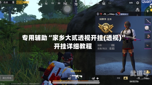 专用辅助“家乡大贰透视开挂(透视)”开挂详细教程-第2张图片