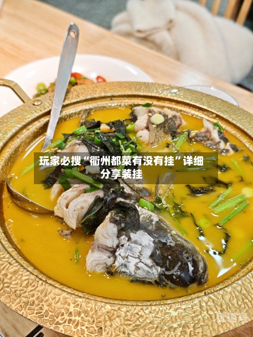 玩家必搜“衢州都菜有没有挂”详细分享装挂-第1张图片