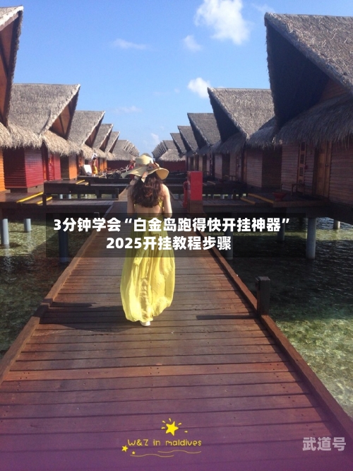 3分钟学会“白金岛跑得快开挂神器”2025开挂教程步骤-第1张图片