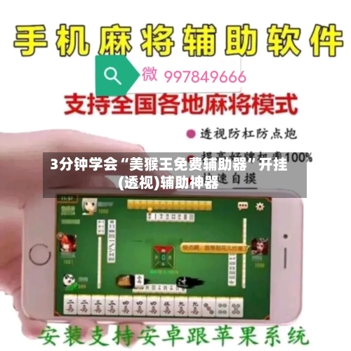 3分钟学会“美猴王免费辅助器	”开挂(透视)辅助神器-第2张图片