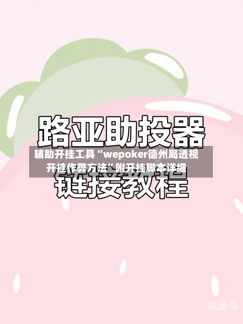 辅助开挂工具“wepoker德州局透视开挂作弊方法”附开挂脚本详细-第1张图片