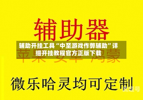 辅助开挂工具“中至游戏作弊辅助”详细开挂教程官方正版下载-第3张图片