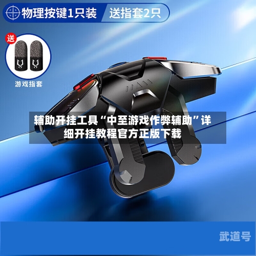 辅助开挂工具“中至游戏作弊辅助”详细开挂教程官方正版下载-第1张图片