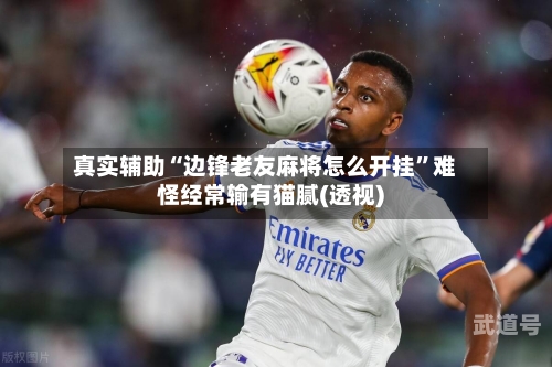 真实辅助“边锋老友麻将怎么开挂”难怪经常输有猫腻(透视)-第1张图片